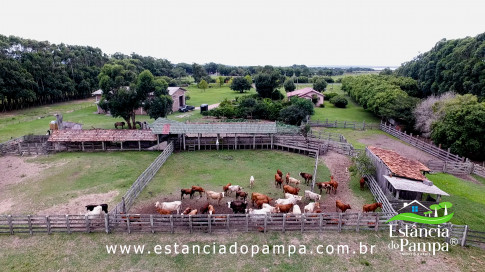 INICIO GADO TOP.00_00_58_28.Quadro016_956cdef99d2ea7fda9ff323c18f599a076a2029e.jpg